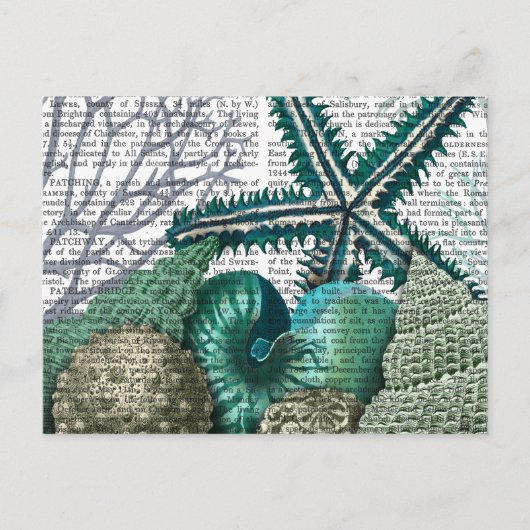 Starvissen onder het Zee Briefkaart (Voorkant)