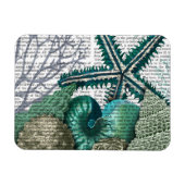 Starvissen onder het Zee Magneet (Horizontaal)