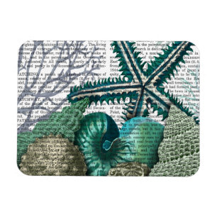 Starvissen onder het Zee Magneet