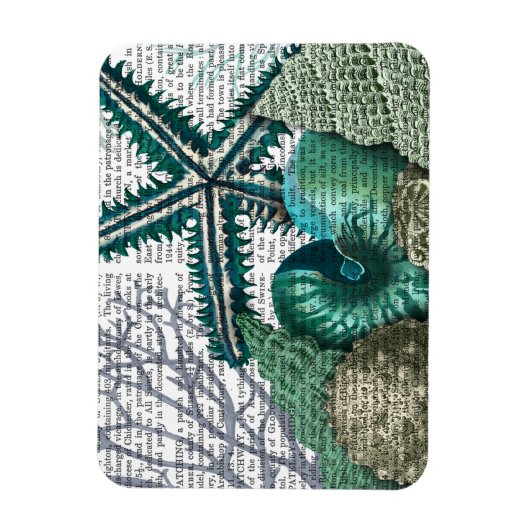 Starvissen onder het Zee Magneet (Verticaal)