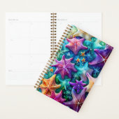 Starvissen Planner (Display)