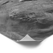 Starvissen Poster (Hoek)