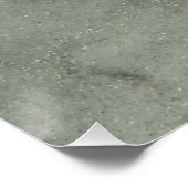 Starvissen Poster (Hoek)