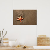 Starvissen Poster (Keuken)