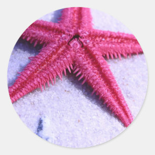 Starvissen Ronde Sticker