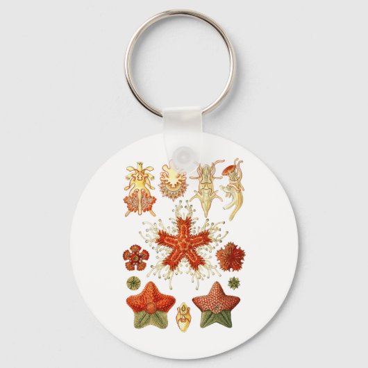 Starvissen Sleutelhanger (Voorkant)