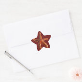 Starvissen Ster Sticker (Envelop)