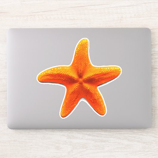 Starvissen Sticker (Computer)