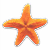 Starvissen Sticker (Voorkant)