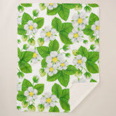 Starwberbes 2 sherpa deken (Voorkant)