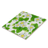 Starwberbes 2 tegeltje (Zijkant)