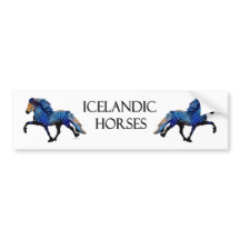 Stary Night Charismatic Tolting IJslands paard