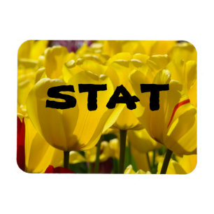STAT-magneten Verpleegkunde Geneeskunde Tulp magne Magneet