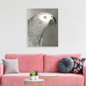 State African Gray Parrot Canvas Afdruk (Insitu (Woonkamer))