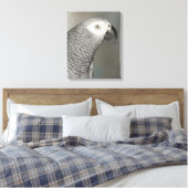 State African Gray Parrot Canvas Afdruk (Insitu (Slaapkamer))