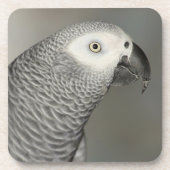 State African Gray Parrot Drankjes Onderzetter (Voorkant)