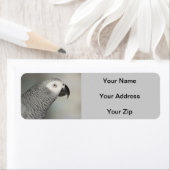 State African Gray Parrot Etiket (Insitu)