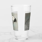 State African Gray Parrot Glas (Links)
