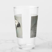State African Gray Parrot Glas (Rechts)
