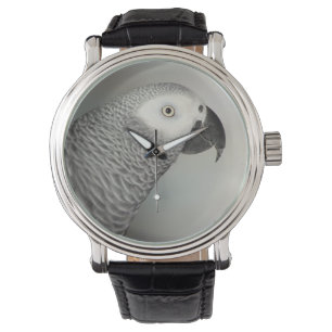 State African Gray Parrot Horloge