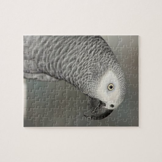 State African Gray Parrot Legpuzzel (Horizontaal)