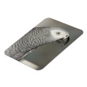 State African Gray Parrot Magneet (Linkerzijde)