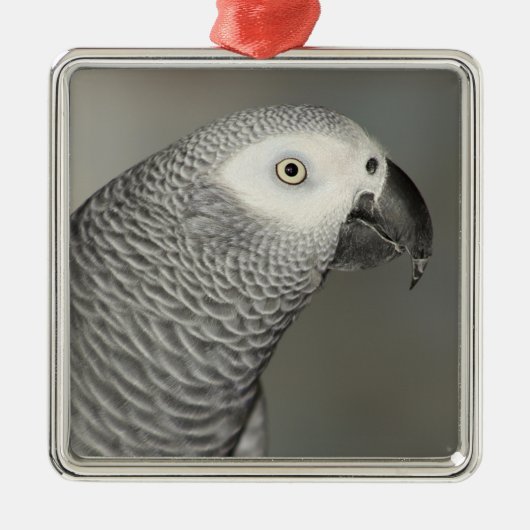 State African Gray Parrot Metalen Ornament (Voorkant)