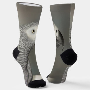 State African Gray Parrot Sokken