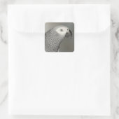 State African Gray Parrot Vierkante Sticker (Tas)