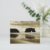 State Beach Natural Bridges Briefkaart (Staand voorkant)