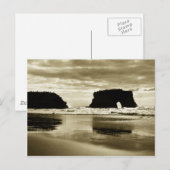 State Beach Natural Bridges Briefkaart (Voorkant / Achterkant)