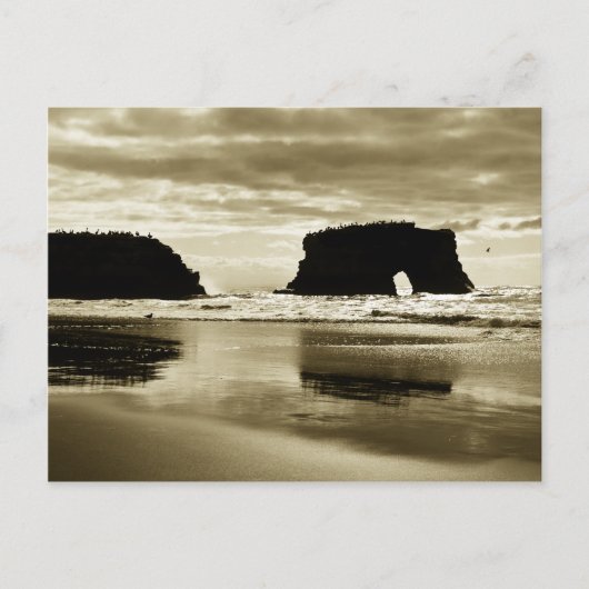 State Beach Natural Bridges Briefkaart (Voorkant)