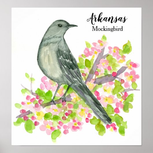 State Bird of Arkansas Mockingbird Flowers Poster (Voorkant)