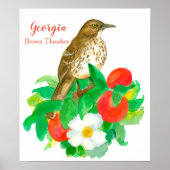 State Bird of Georgia Brown Thrasher Poster (Voorkant)