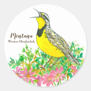 State Bird of Montana Western Meadowlark Songbird Ronde Sticker