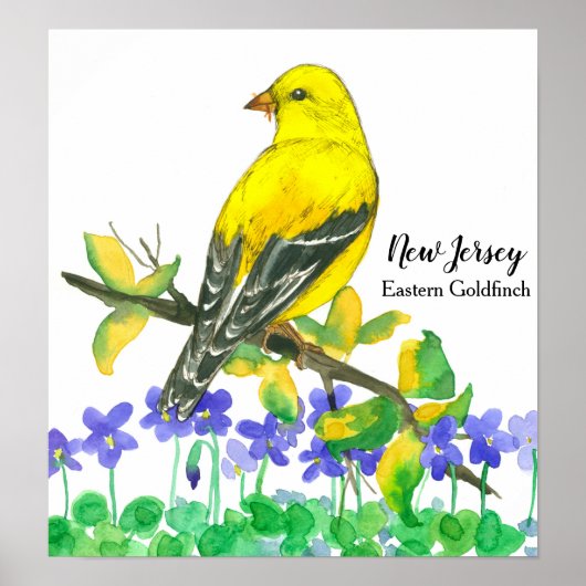 State Bird of New Jersey Eastern Goldfinch Poster (Voorkant)