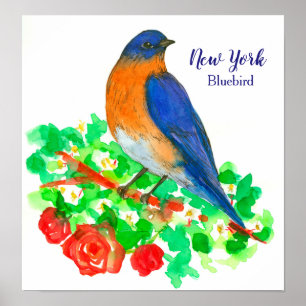 State Bird of New York Waterverf Bluebird Poster