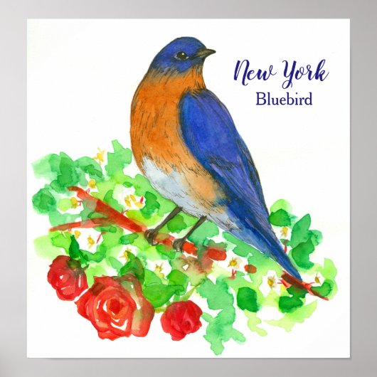 State Bird of New York Waterverf Bluebird Poster (Voorkant)