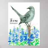 State Bird of Texas Mockingbird Poster (Voorkant)