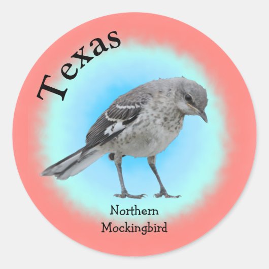State Bird of Texas Ronde Sticker (Voorkant)