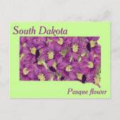 State Flower Collage Map South Dakota Briefkaart (Voorkant)