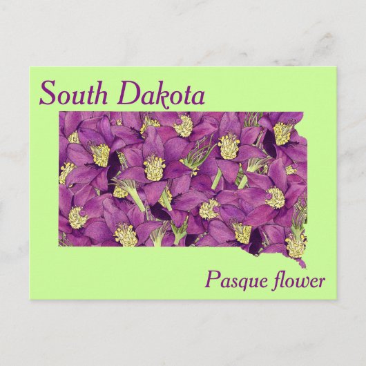 State Flower Collage Map South Dakota Briefkaart (Voorkant)