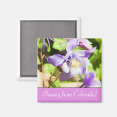 State Flower Colorado Rocky Mountain Columbine Magneet (Voorkant / Achterkant)