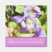 State Flower Colorado Rocky Mountain Columbine Magneet (Voorkant)