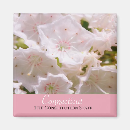 State Flower van Mountain Laurel Connecticut Magneet (Voorkant)