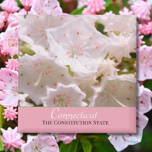 State Flower van Mountain Laurel Connecticut Magneet