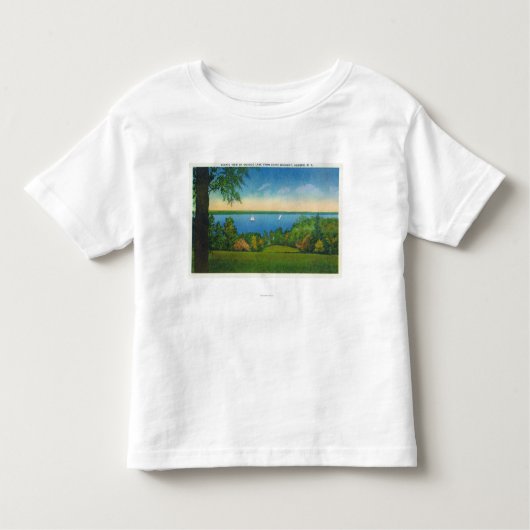 State Hwy Schilderachtig Uitzicht Owasco Lake Kinder Shirts (Voorkant)