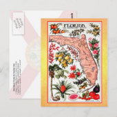 State Map of Florida ( herdruk) Briefkaart (Voorkant / Achterkant)