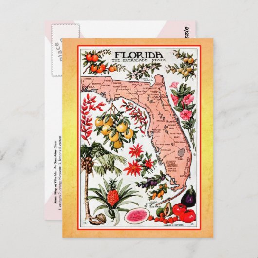 State Map of Florida ( herdruk) Briefkaart (Voorkant / Achterkant)