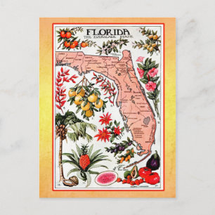 State Map of Florida ( herdruk) Briefkaart